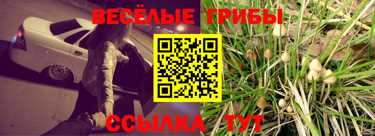 Норильск  Галлюциногенные грибы Magic Shrooms  Галлюциногенные грибы прущие грибы  Вход с VPN 